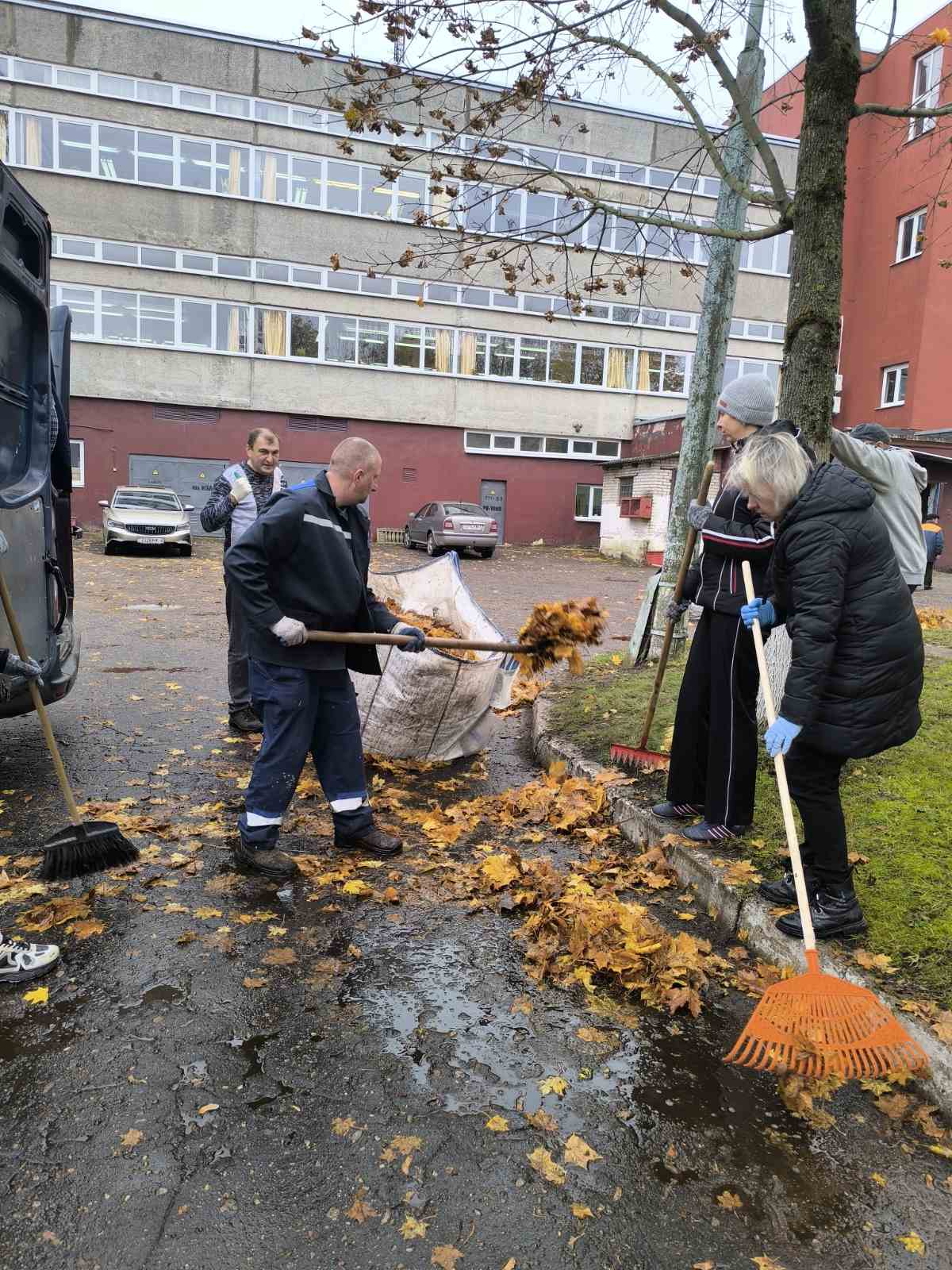 изображение viber 2025-10-28 10-21-20-250 b11d2