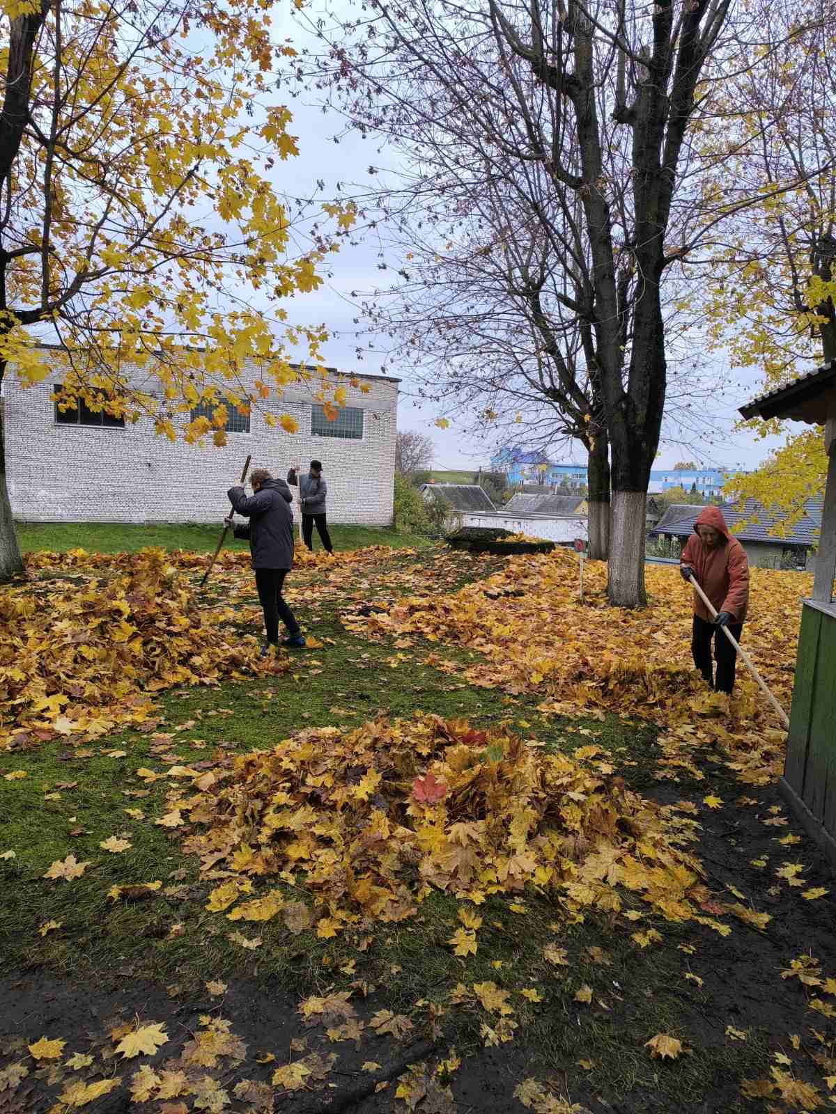 изображение viber 2025-10-28 10-22-22-567 56dab