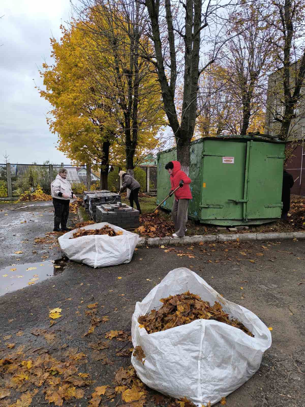 изображение viber 2025-10-28 10-22-43-817 c35dc