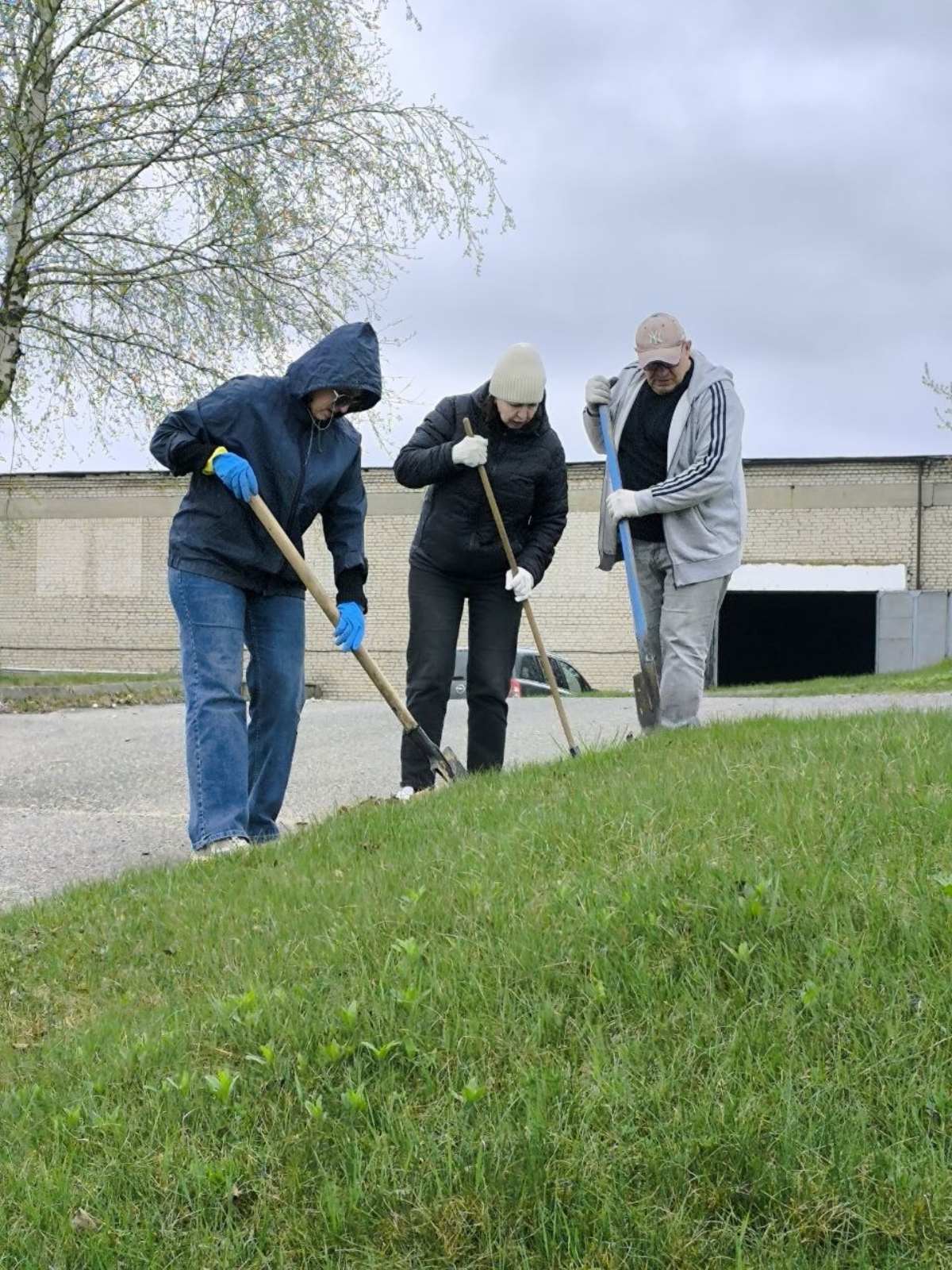 изображение viber 2026-04-20 20-20-36-857 4d74b